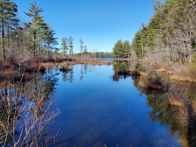 LOT01 N Rd, Parsonsfield, ME 04047 - photo 12