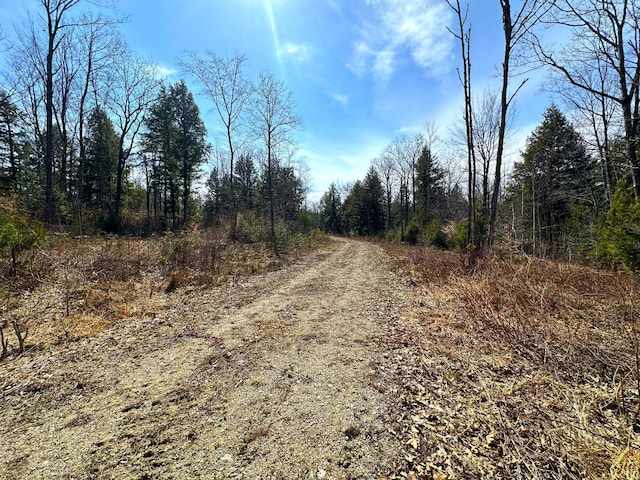 LOT01 N Rd, Parsonsfield, ME 04047 - photo 18