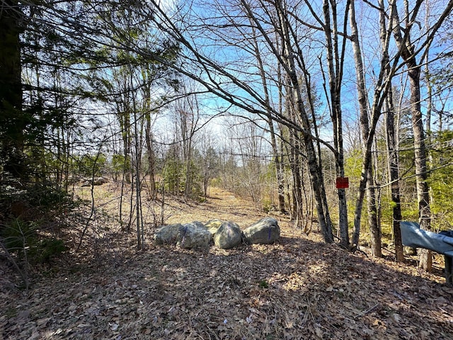 LOT01 N Rd, Parsonsfield, ME 04047 - photo 20