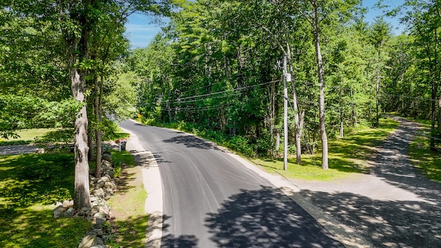 0 Captain Thomas Rd, Ogunquit, ME 03907 - photo 4