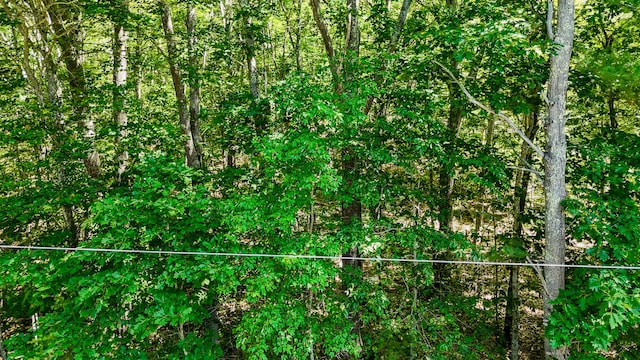 0 Captain Thomas Rd, Ogunquit, ME 03907 - photo 13