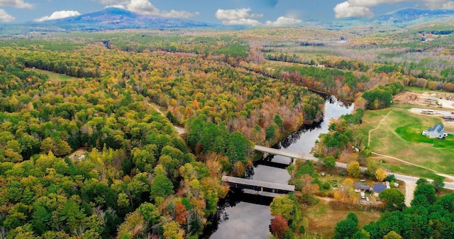 LOT02 N Rd, Parsonsfield, ME 04047 - photo 8