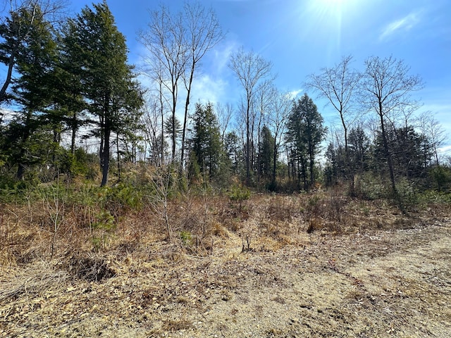 LOT02 N Rd, Parsonsfield, ME 04047 - photo 19