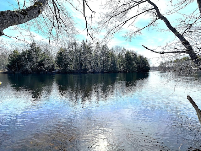 LOT02 N Rd, Parsonsfield, ME 04047 - photo 27