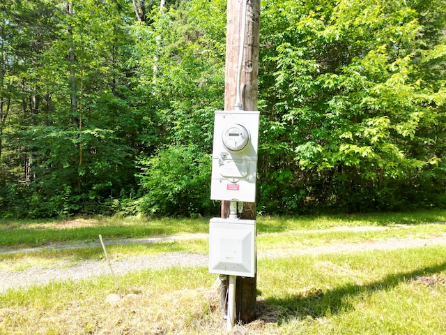 1093 N Chester Rd, Chester, ME 04457 - exterior view of a forest