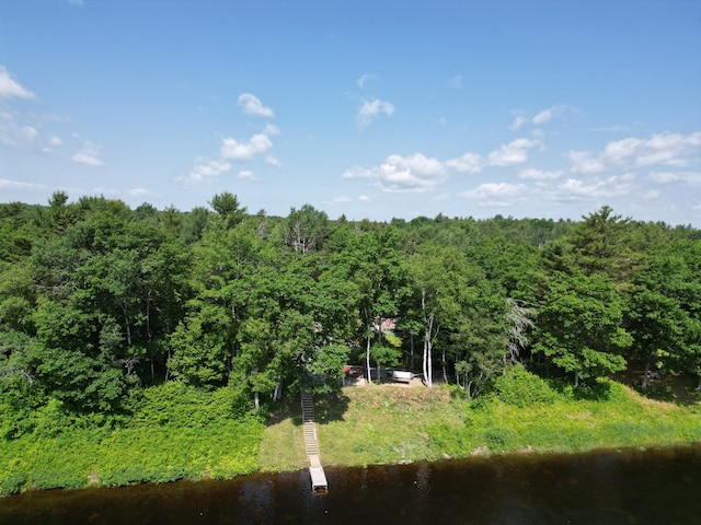 1093 N Chester Rd, Chester, ME 04457 - bird's eye view of a forest and a large body of water