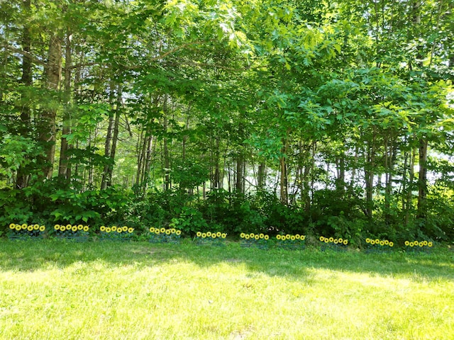 1093 N Chester Rd, Chester, ME 04457 - view of yard