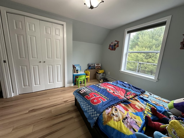 64 Litchfield Rd, Bowdoin, ME 04287 - bedroom featuring vaulted ceiling, wood finished floors, and a closet