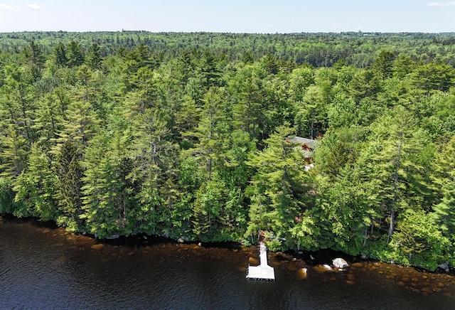 51 Short Point Way, Orland, ME 04472 - view of property location with a heavily wooded area and a nearby body of water
