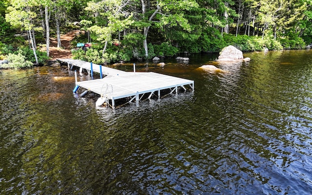 51 Short Point Way, Orland, ME 04472 - view of dock