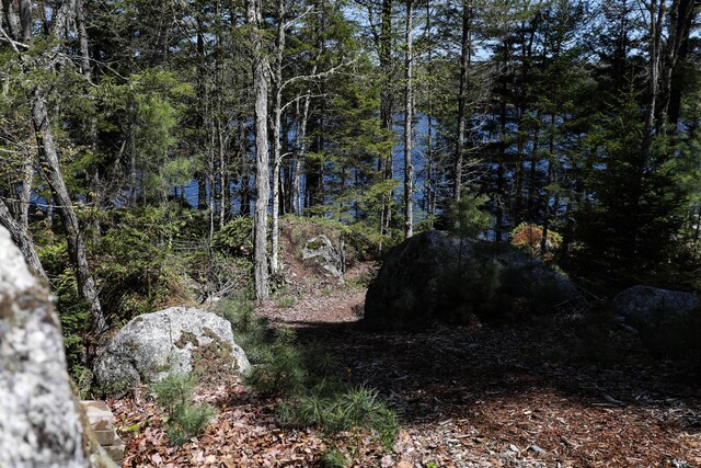 51 Short Point Way, Orland, ME 04472 - view of undeveloped land