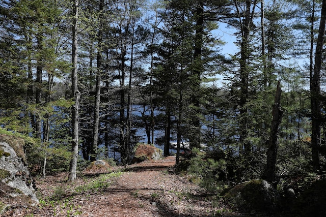 51 Short Point Way, Orland, ME 04472 - water view