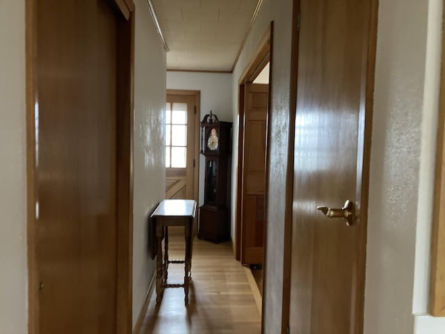 1 Francis Rd, Steuben, ME 04680 - hall with crown molding and light wood-style floors