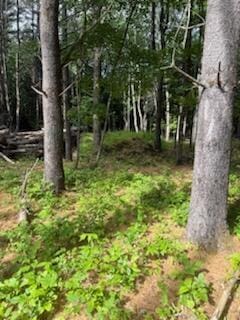 0 Tuttle Ln, Bridgton, ME 04009 - photo 1