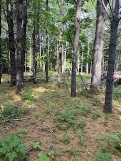 0 Tuttle Ln, Bridgton, ME 04009 - photo 3