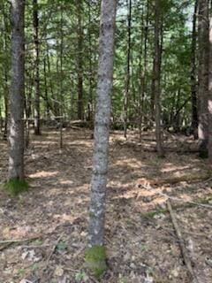 0 Tuttle Ln, Bridgton, ME 04009 - photo 5