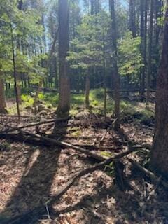 0 Tuttle Ln, Bridgton, ME 04009 - photo 7