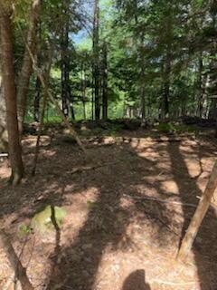 0 Tuttle Ln, Bridgton, ME 04009 - photo 8