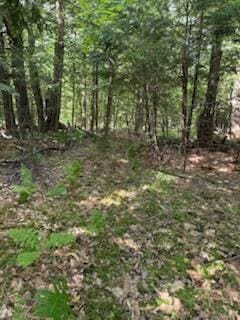 0 Tuttle Ln, Bridgton, ME 04009 - photo 9