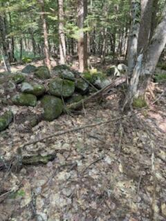 0 Tuttle Ln, Bridgton, ME 04009 - photo 10