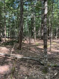 0 Tuttle Ln, Bridgton, ME 04009 - photo 12