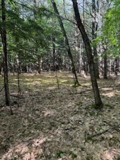 0 Tuttle Ln, Bridgton, ME 04009 - photo 13