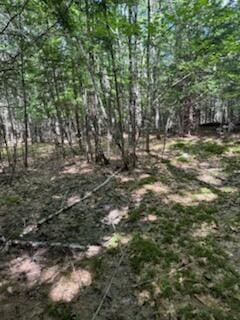 0 Tuttle Ln, Bridgton, ME 04009 - photo 14
