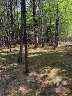 0 Tuttle Ln, Bridgton, ME 04009 - photo 15
