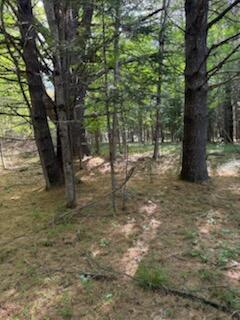 0 Tuttle Ln, Bridgton, ME 04009 - photo 16