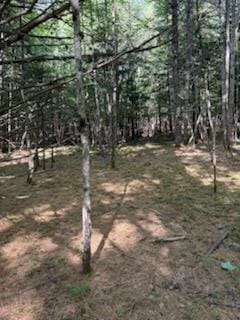 0 Tuttle Ln, Bridgton, ME 04009 - photo 17