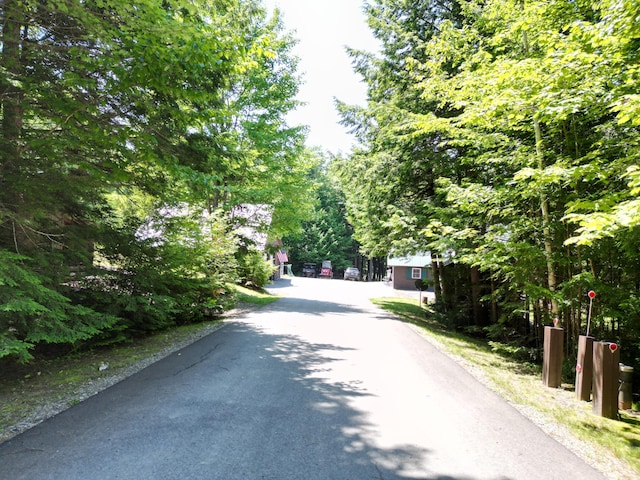 25 Loop Rd, Chester, ME 04457 - view of asphalt driveway