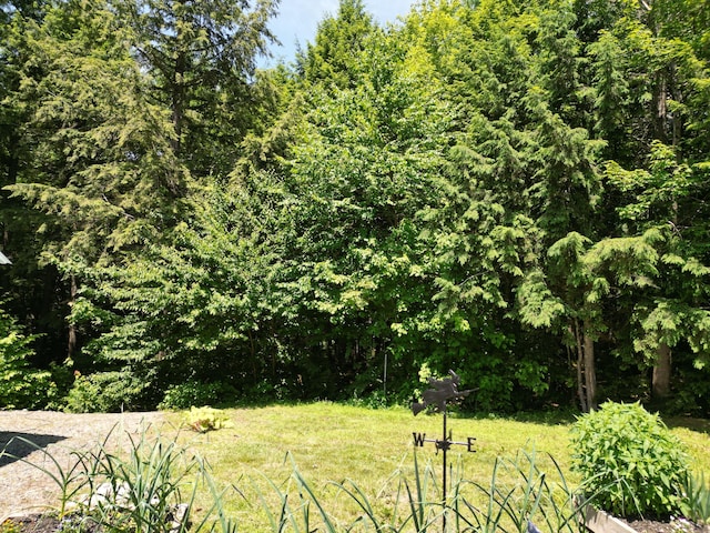 25 Loop Rd, Chester, ME 04457 - view of yard with a wooded view
