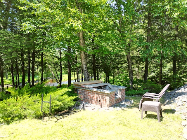 25 Loop Rd, Chester, ME 04457 - view of yard