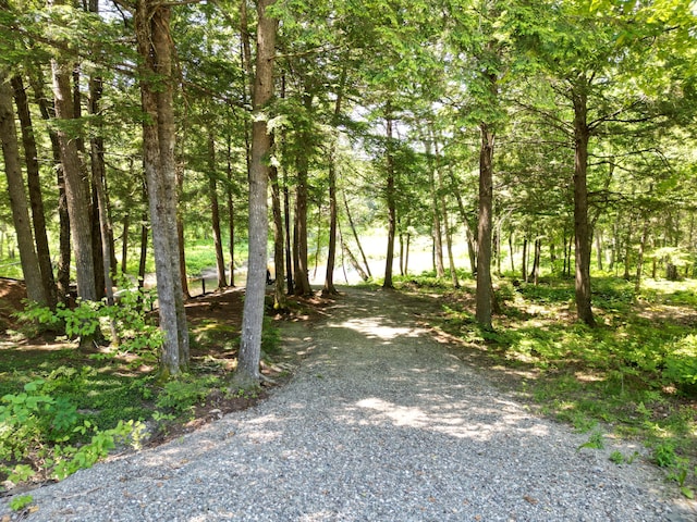 25 Loop Rd, Chester, ME 04457 - view of road