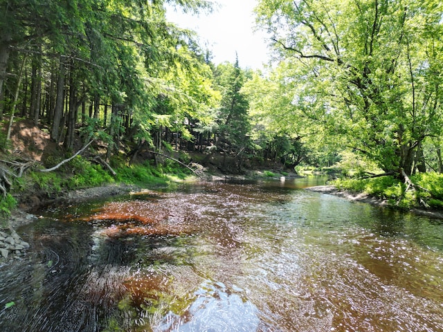 25 Loop Rd, Chester, ME 04457 - water view with a forest