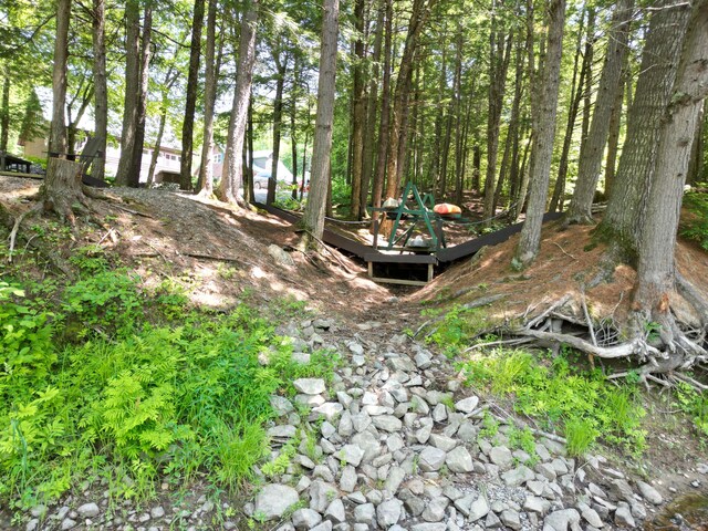 25 Loop Rd, Chester, ME 04457 - view of yard