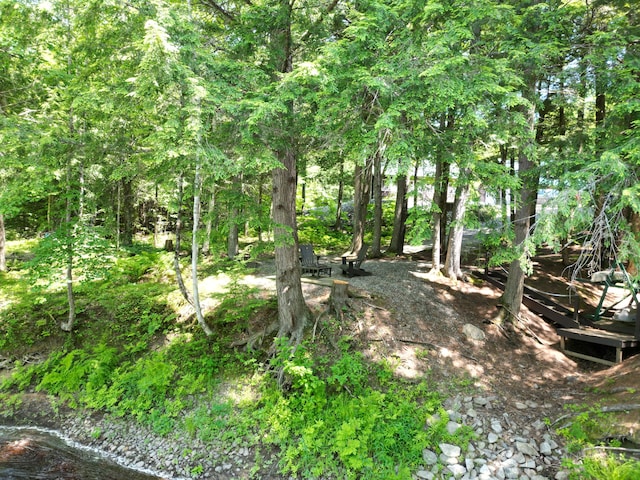 25 Loop Rd, Chester, ME 04457 - view of local wilderness