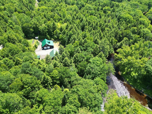 25 Loop Rd, Chester, ME 04457 - view from above of property with a forest