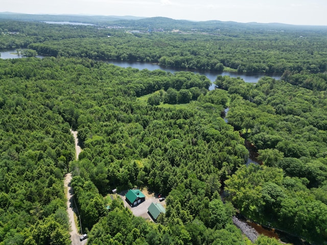 25 Loop Rd, Chester, ME 04457 - aerial view of a forest and a nearby body of water