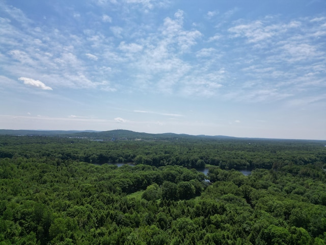 25 Loop Rd, Chester, ME 04457 - mountain view with a forest and a large body of water