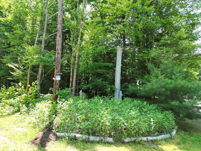 25 Loop Rd, Chester, ME 04457 - view of local wilderness