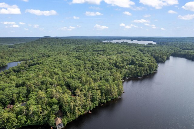 175 Buck N Doe Trl, Augusta, ME 04330 - bird's eye view of a large body of water