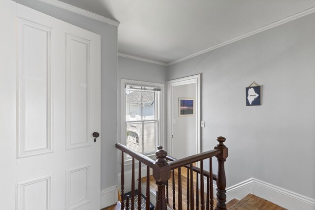 55 Masonic St, Rockland, ME 04841 - photo 39