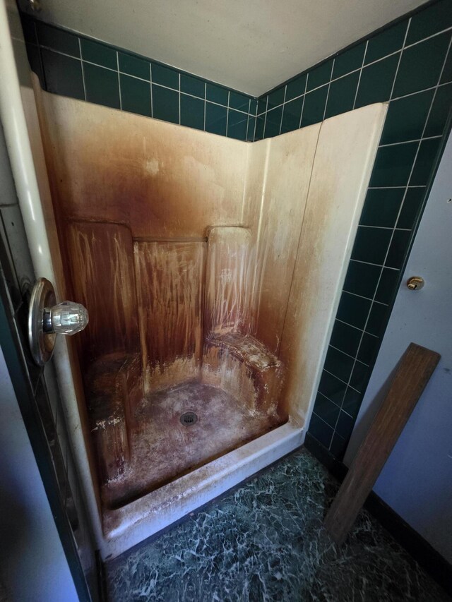 67 Back Searsport Rd, Searsport, ME 04974 - full bathroom featuring a shower