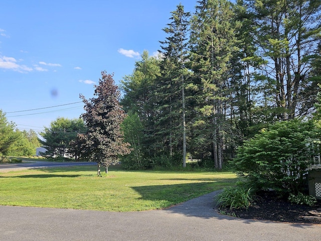 659 Hinckley Rd, Canaan, ME 04924 - photo 10