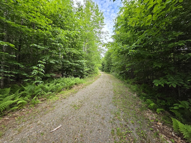 Lot30 Rosewood Haven, Prentiss Twp T7 R3 Nbpp, ME 04487