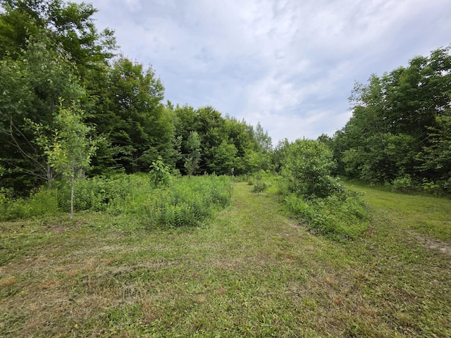Lot30 Rosewood Haven, Prentiss Twp T7 R3 Nbpp, ME 04487
