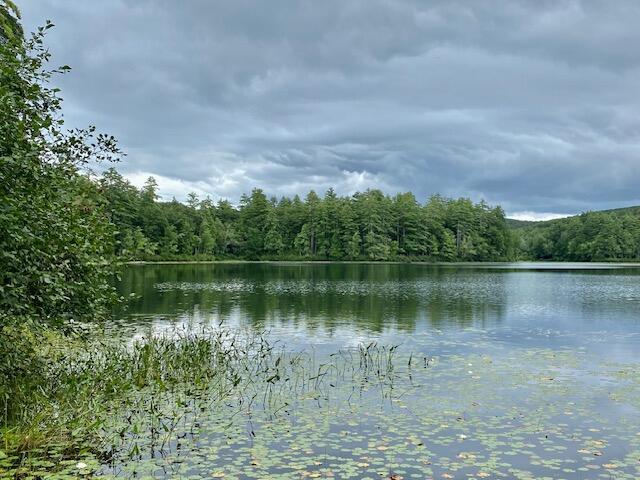 00 Brownfield Rd, Hiram, ME 04041