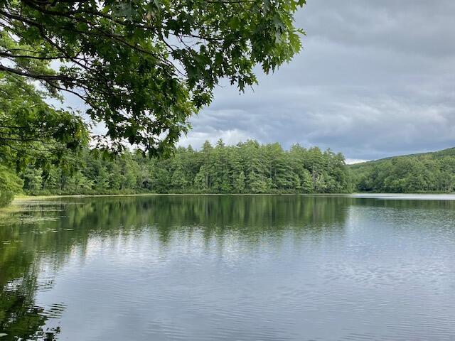 00 Brownfield Rd, Hiram, ME 04041