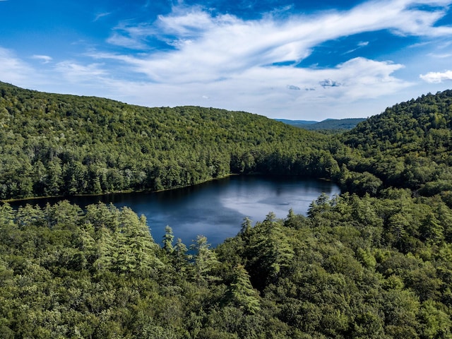 00 Brownfield Rd, Hiram, ME 04041